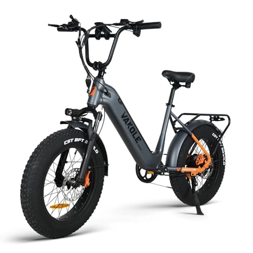 VAKOLE SG20 E-Bike Herren 20 Zoll Tiefeinsteiger Elektrofahrrad mit 48V 14,4Ah Akku, 110km Reichweite, 7 Gang Fatbike für City, Strand & Schnee