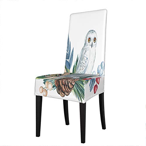Funda para Silla, búho Blanco, pájaro Encantador, Ramas de Abeto, Conos, Bayas Rojas, Hojas, Plantas Naturales, Fundas Protectoras para sillas Salvajes, Funda para Asiento