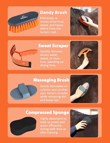 Shinewell Horse Grooming Kit, Complete Horse Brush Set, Equine Grooming Tools for Shedding & Daily Care Orange - Image 3