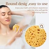 Body Bath Sponge 3 PCS Natural Sponge for Shower Sea Sponge Large Soft Honeycomb with Dense Foam for Gentle & Deep Cleansing Ultra-Soft for Sensitive Dry Skin Bring Face Wash Puff - Image 3
