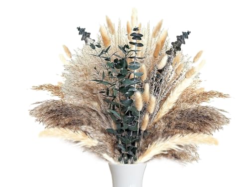 Hitopin 63 Pièces Bouquet Séché Décor d'herb, Décoration de la Pampas Séchée, Séchées Naturelle Décoration, Décoration en Pampas Séchées,pour Les Fleurs Boho de Mariage et La Décoration