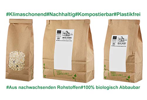 BIO Bananen Chips getrocknet I ohne Zuckerzusatz (enthält von Natur aus Zucker) I Kokosöl I Vegan I Trockenfrucht I Trockenobst I 1000g Inhalt