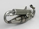  Auspuff YASUNI Carrera C16 Yamaha Aerox MBK Nitro Aprilia SR 50 Malaguti F 12