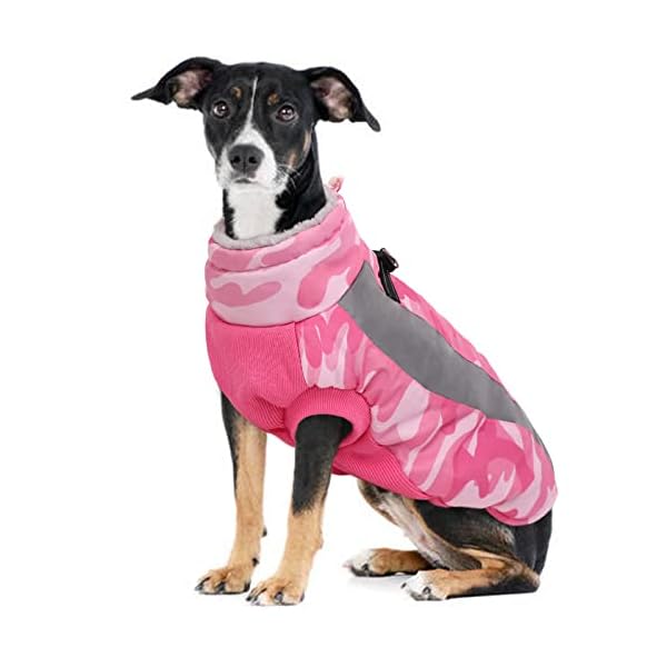 Warm Dog Winter Jacket Snow Coat Cold Weather Clothes, Puppy Fur Vest with Reflective Stripe, Windproof Adjustable Doggies Clothes Chilly Days Pet Outfit for Small Medium Large Dog, Pink XL Warm Dog Winter Jacket Snow Coat Cold Weather Clothes, Puppy Fur Vest with Reflective Stripe, Windproof Adjustable Doggies Clothes Chilly Days Pet Outfit for Small Medium Large Dog, Pink XL