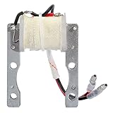 ✪ Para motores de 49 cc 50 cc 60 cc 66 cc 80 cc 2 tiempos Motores bicicleta ATV Quad Scooter.