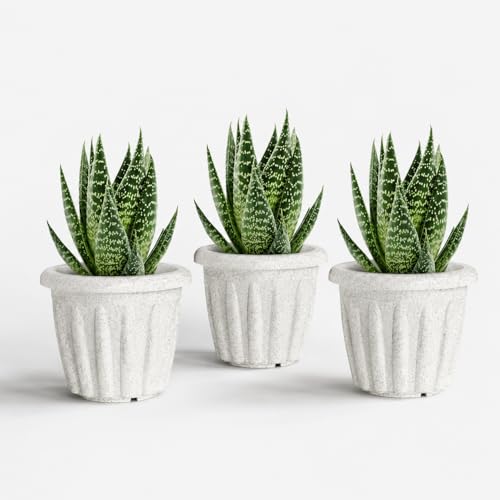 Image of YUCCABE ITALIA SHERA Floot Round Plastic Flower Pot Planter Suitable for Indoor Outdoor Kitchen Garden (Marble White, 12 Inch - 3 Pcs)
