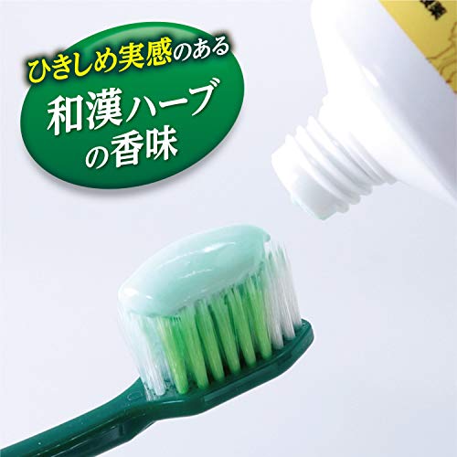 生葉 ひきしめ生葉(しょうよう) 歯槽膿漏を防ぐ 薬用ハミガキ 和漢ハーブの香味 100g の商品画像 7