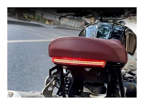 Kit de lampes LED moto avec support de plaque d'immatriculation - 7