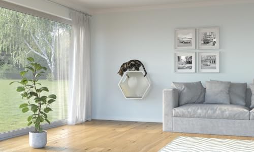 AniOne Katzen-Kletterwand Set, Kratzstamm mit Wandliegeplatz und Kletterbrücke, 100x50x50 cm, Grau, für Katzen bis 6 kg, zum Klettern und Kratzen, Wandmontage