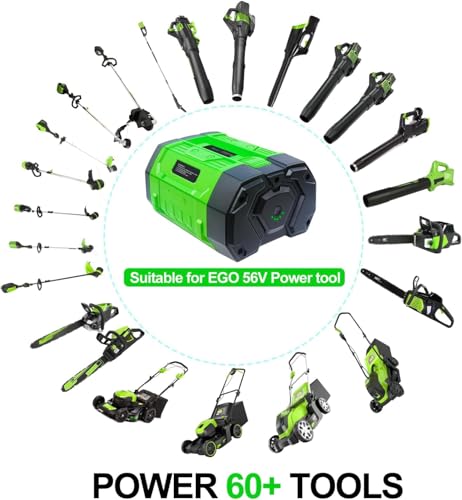 Image of DTK 2 Packs Updated Replacement for EGO 56V Battery 10000mAh Cordless Tool 560Wh BA4200 BA4200T 10AH