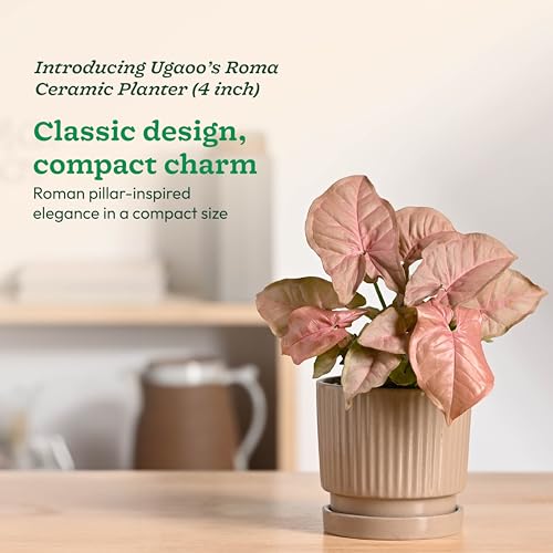 Image of UGAOO Roma Ceramic Pot for Indoor Plants, 4 Inch - Curtain Brown