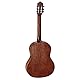 Ortega Guitars 4/4 Konzert Gitarre – Student Series – Fichte, Katalpa, Hochglanz Natur (RST5)