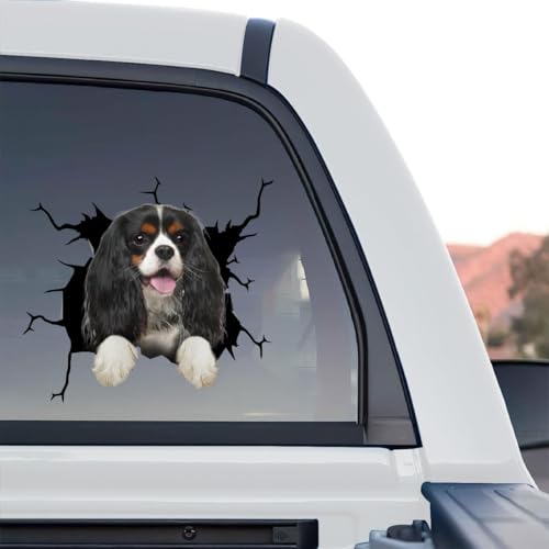 Image of Vinyl Car Decals for Women - Dog Stickers, Gift for Dog Lovers (Cavalier King Charles Stickers)