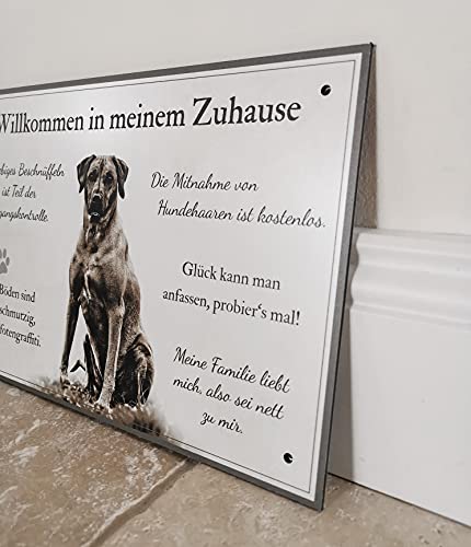 ZAUBERBILD Hundeschild Warnung | Rhodesian Ridgeback 'Willkommen in Meinem Zuhause' | Warnschild Vorsicht Hund | 25x17cm Alu