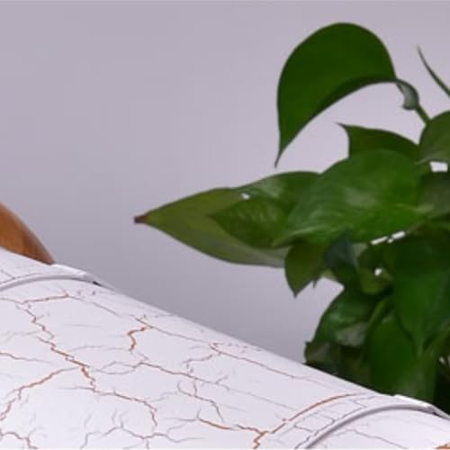 Cubeta de Madera para Spa de Pies con Tapa miniatura 4