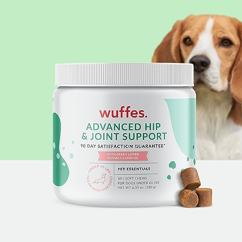 10 Best Hip And Joint For Dogs For Every Budget The WaterHub