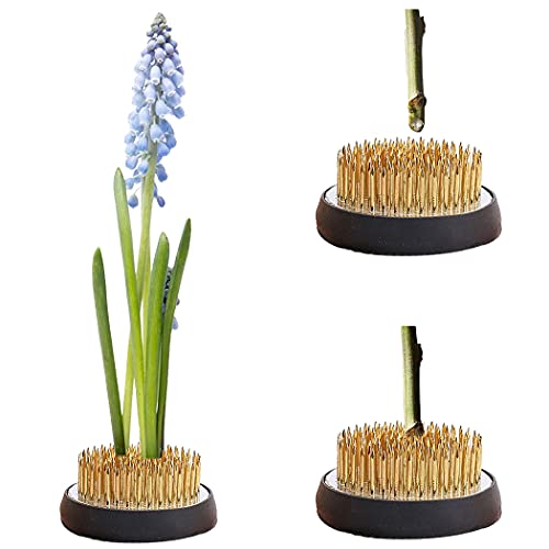 Homaisson Blumenfrosch Professionelle runde 3 stücke Blumenarrangement Pin Halter Blume Frosch Cover