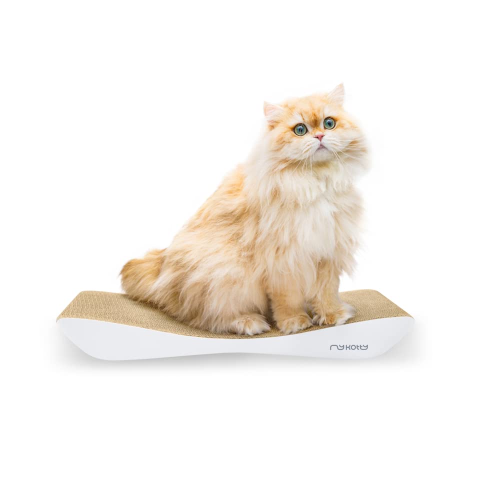 myKotty: Planche de grattement Réversible et Lit de Chat pour Dormir et S'amuser TOBI