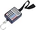Balances De Cuisine Bagages Balances de voyage Suspending Balance avec affichage de la température Portable Travel Numérique Suitcase Balance avec suspension Poids 110lb / 50kg Capacité pour Voyage Ma