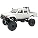 Dodoore RC Rock Crawler WPL C64-1 RC Truck, 1:16 Scale 2.4GHz Remote Control Truck, 4WD All Terrain Off-Road RC Crawler with LED Lights and 2 Rechargeble Batteries for Adults (White)