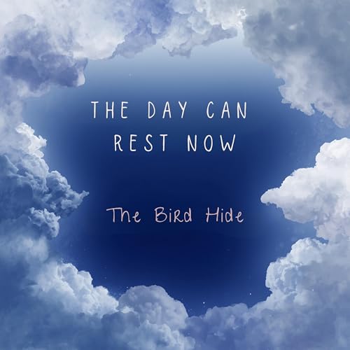 The Day Can Rest Now or The Bird Hide