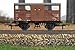 Hornby R60288 BR Ex SR Cattle Wagon 52297 Freight Wagons