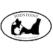 CafePress Tods Sticker2 Oval Car Magnet, Euro Oval Bumper Magnet