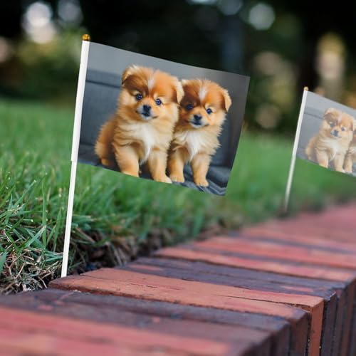 Kleine Mini-Handflagge mit Zwergspitzen, für Sportspiele und Festivals, Dekoration, Parade, Flagge, 14 x 20,8 cm