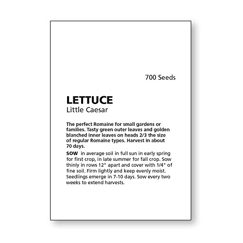 Burpee Little Caesar Lettuce Seeds 700 Seeds #TOP5