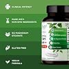 EMERALD LABS Quercetin Phytosome Plus - Vegan Antioxidant & Immune Support Supplement - Contains Quercetin & Zinc - 60 Vegetable Capsules (60-Day Supply)