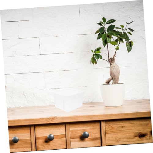 Caja plástica protectora para monederos 2 piezas transparente miniatura 5
