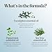Breathe Essential Oil for Diffuser - Invigorating and Refreshing Breathe Essential Oil Blend with Eucalyptus Peppermint Tea Tree and Mint for Diffusers for Home and Shower Aromatherapy (1 Fl Oz)
