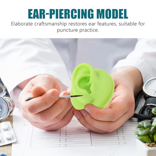 Modelo de oreja didáctico de 2 piezas ideal para escuela de piercing 4