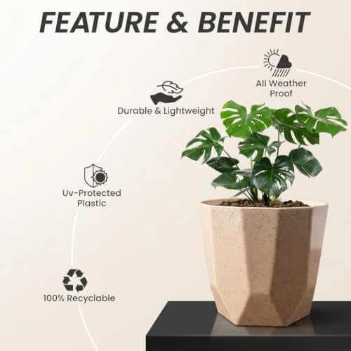 Image of YUCCABE ITALIA SHERA Hexa Round Plastic Flower Pot with Drainage Holes Planter Pot Suitable for Indoor Outdoor Kitchen Garden (Stone Beige, 8 Inch - 6 Pcs)