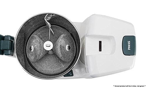 Elgi Ultra Bigg+ 2.5 Liter Table Top Wet Grinder With Atta Kneader, 110 Volt #TOP2