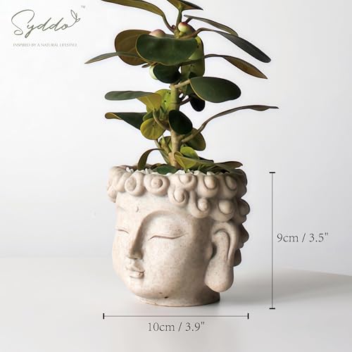 Pots de fleurs extérieurs Yofab aménagement balcon et terrasse