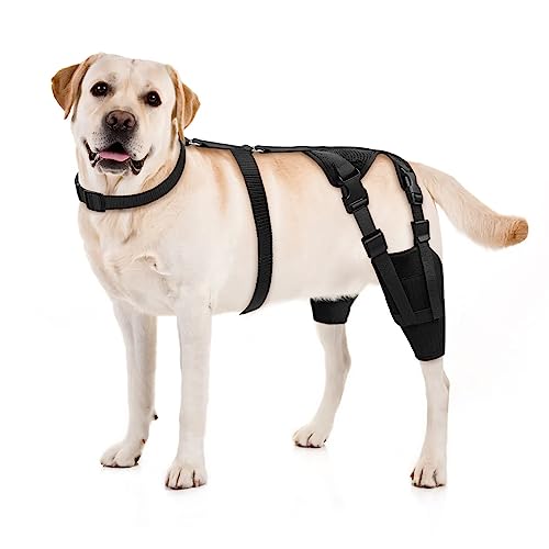 JUANWAN Dog Knee Brace Canine Leg Braces - Dog Knee Stifle Brace Wrap Strips Adjustable Dog Knee Brace for Torn ACL Hind Leg Joint Pain Muscle Sore Pet Brace Reduces Pain and Inflammation (XXXL)