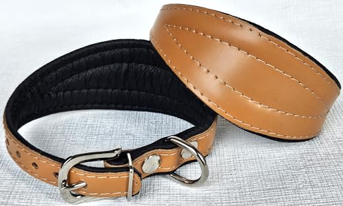 Greyhound Podenco Halsband, Halsumfang 26-32cm, 32-38 cm, 35-41cm, 40-47cm, 40-50cm Leder, Cognac- Schwarz (26-32cm/35 cm)