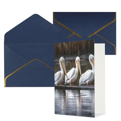 STVYUKL O[eBOJ[h t Thinking of You Card Three Pelicans Happy Birthday  ҏ 󔒂̃J[h @ 4x6