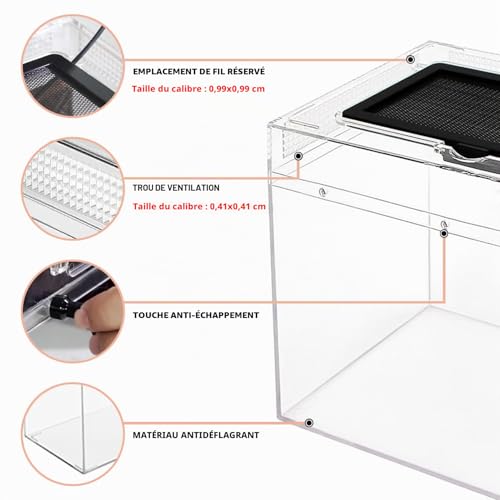 Vivarium pour léopard gecko et tarentule avec structure transparente PC