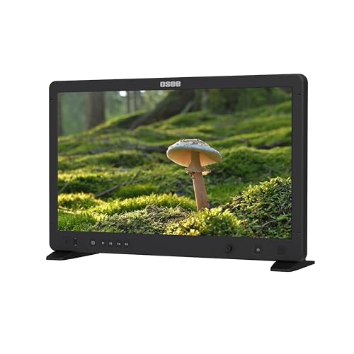 osee Mega 22S 22inch HDR Field Monitor