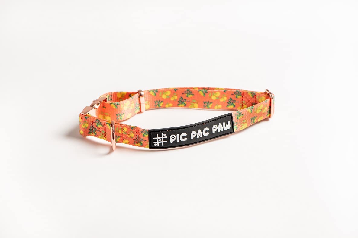 PIC PAC PAW- Squeeze Please Collection- Collar for Small, Medium and Large Dogs… (S)