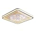 Ventilatori da soffitto a LED con illuminazione Fan Plafoniere con telecomando Lampada da soffitto con ventola dimmerabile e velocità del vento Lampada da soffitto moderna con ventola invisibile