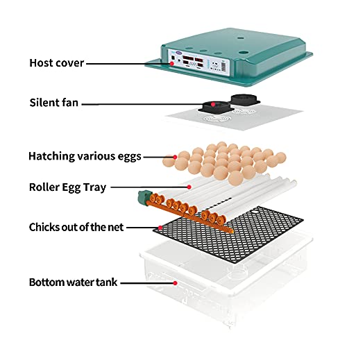 New Vida Incubator Chicken Fully Automatic Incubator for Eggs Bird Quail Incubator Temperature Control Incubator 48-64… – Bild 5
