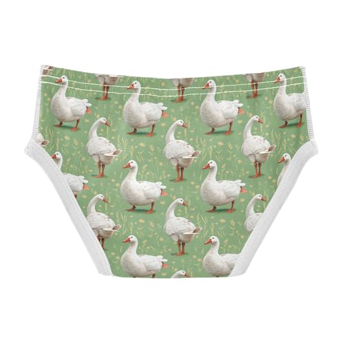 visesunny Boys Potty Training Underwear Leaf Grassland Goose Breathe Cotton Briefs Size 2T-8Y for Toddler2