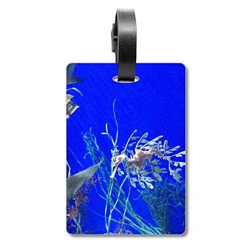 Étiquette pour valise hippocampe bleu pour vos vacances à la mer