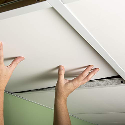 Genesis 2Ft X 2Ft Smooth Pro White Ceiling Tiles - Easy Drop-In Installation – Waterproof, Washable And Fire-Rated - High-Grade Pvc To Prevent Breakage - Package Of 12 Tiles #TOP2