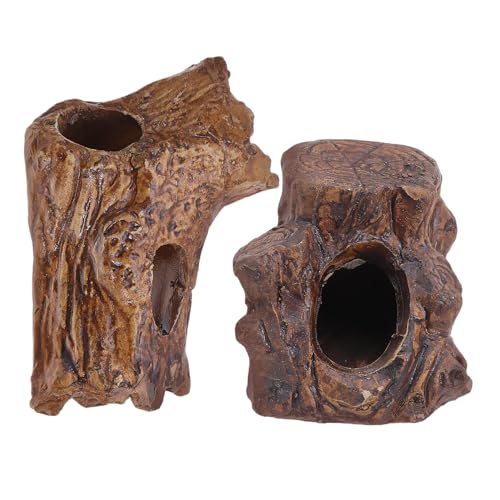 Abaodam 2 i ɐB Rؖڒ ƃGr̉B f eȂ gp ɐBi B