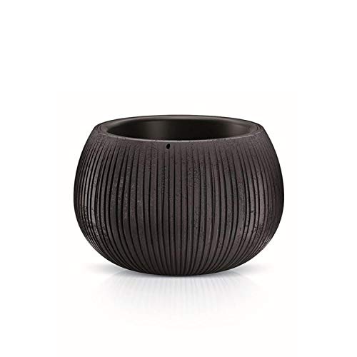 Prosperplast Beton Bowl Blumentopf Pflanzkübel Beton-Design 2 in 1 inkl. Pflanztopf Kunststoff Rund (238mm, Schwarzer Beton)