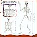 SHOCOSTO Skeleton Halloween Decor,3Ft Life Size Skeleton Full Body Plastic Human Bones for Halloween Decoration